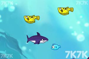 饥饿的鲨鱼进化