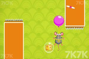 老鼠哈瑞吃奶酪