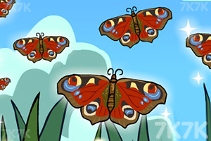 蝴蝶宝宝诞生记