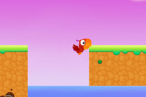 笨笨鹦鹉吃西瓜