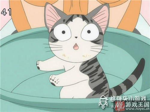 就问你萌不萌?《猫猫瑜伽》猫猫驾到 就问你萌不萌?《猫猫瑜伽》猫猫驾到