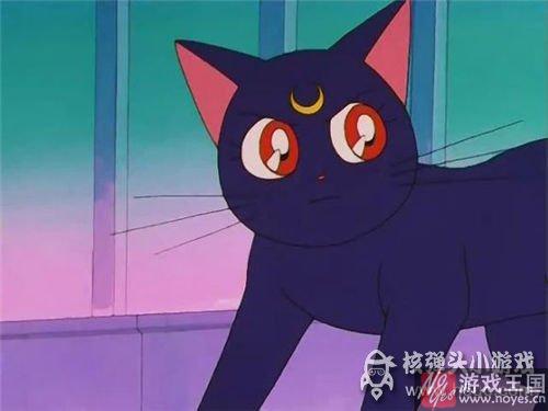 就问你萌不萌?《猫猫瑜伽》猫猫驾到 就问你萌不萌?《猫猫瑜伽》猫猫驾到