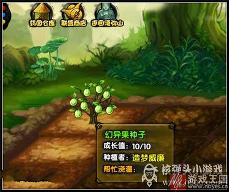 奇异果咋获得？造梦西游4植树节活动介绍