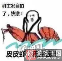 皮皮虾我们走表情包下载？是什么样梗