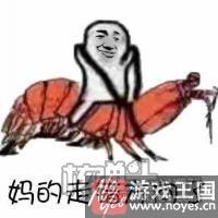 皮皮虾我们走表情包下载？是什么样梗