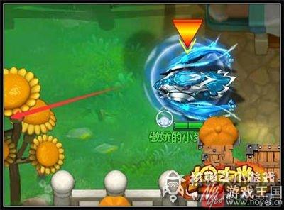 人鱼公主属性介绍？坦克堂咋样