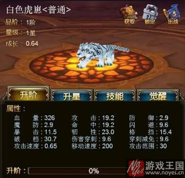 宠物技能推荐？魔兽战歌h5买什么样好