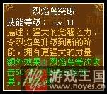 法师技能详细解析？龙斗士咋样