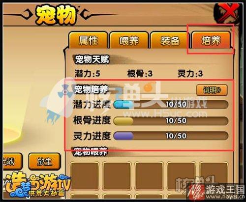 需要什么样材料?造梦西游4彩凤鸡咋超进化 需要什么样材料?造梦西游4彩凤鸡咋超进化