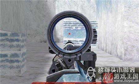 大神实测AN49鹰眼？生死狙击武器解析