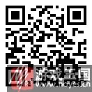 Nvidia？全新的性能强者