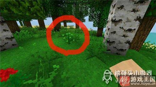 棉花种子咋获得？生存战争苗去哪里找