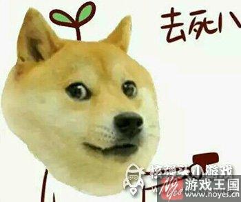 单身狗七夕必备小游戏?烧死异性恋 单身狗七夕必备小游戏?烧死异性恋