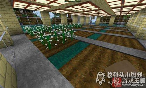 棉花种子咋获得？生存战争苗去哪里找