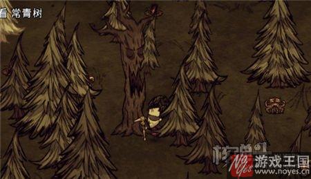 活木获取途径?饥荒联机版咋获得 活木获取途径?饥荒联机版咋获得