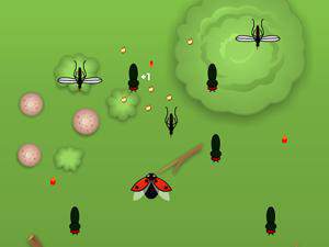 七星瓢虫闯天下