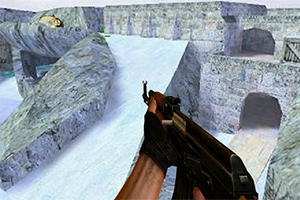 反恐之冷面杀手