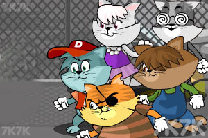 猫鼠大战升级版