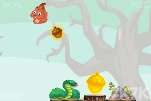 小松鼠爱黄金坚果