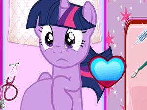 我的小马驹出生了