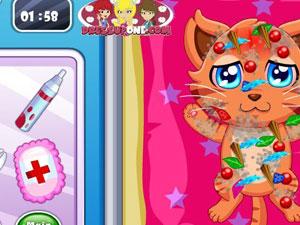 可爱小宠物的护理