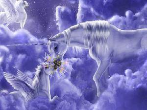 隐藏的星星独角兽