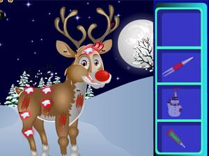 照顾受伤的小麋鹿