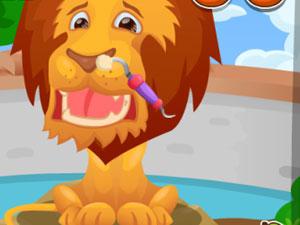 动物园治疗时间