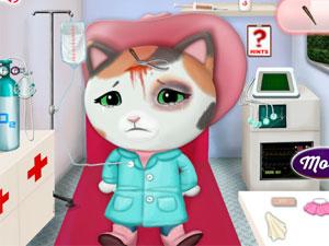 小猫卡莉受伤了