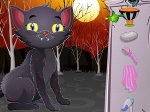 万圣节小猫护理