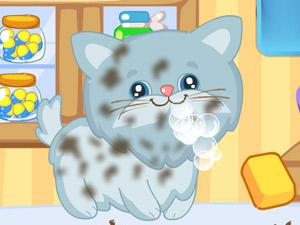 照顾可爱的宠物2