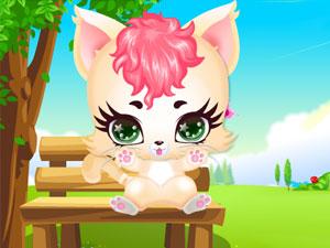 照顾甜美凯蒂猫