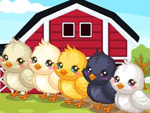 复活节小鸡护理