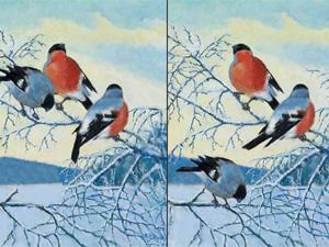 新年景物找不同