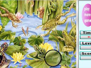 青蛙荷塘找数字