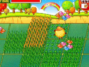 彩虹农场种稻田2 