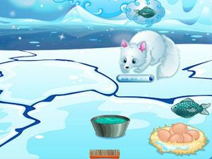 照顾可爱北极狐