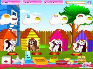 照顾可爱的猫咪