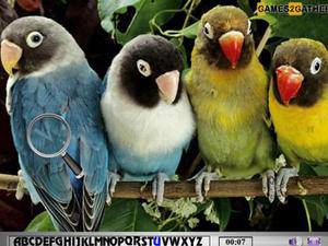 鹦鹉找字母