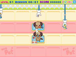 阿Sue照顾宠物狗