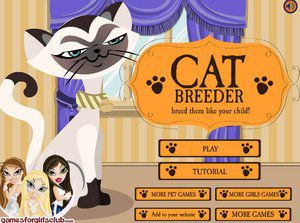 我的可爱猫咪宠物