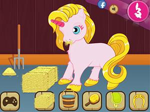 照顾可爱的小马驹