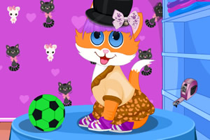 可爱宠物服装设计