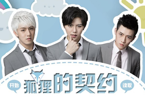 狐狸的契约