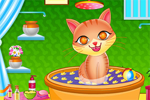 照顾可爱宠物猫