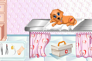 小狗的健康检查