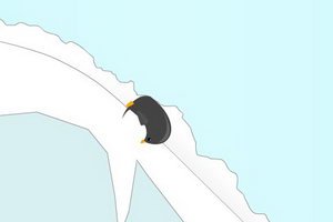 谁说企鹅不能飞