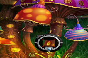 蘑菇王国之摄影猎手