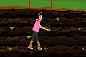 佐伊的园艺生活