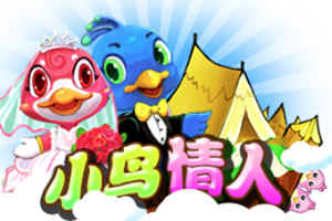 小鸟情人